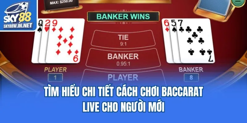Tìm hiểu chi tiết cách chơi Baccarat live cho người mới
