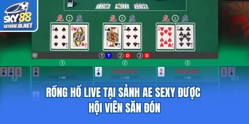 Rồng Hổ live tại sảnh AE Sexy được hội viên săn đón