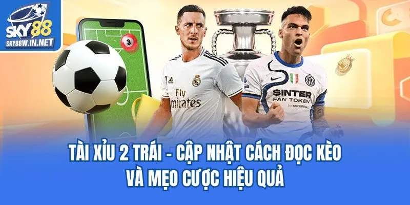 Tài Xỉu 2 Trái - Cập Nhật Cách Đọc Kèo Và Mẹo Cược Hiệu Quả